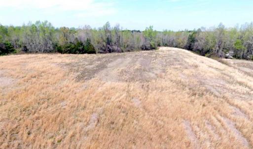 Photo of SOLD!!  42 Acres of Farm and Hunting Land For Sale in Columbus County NC!