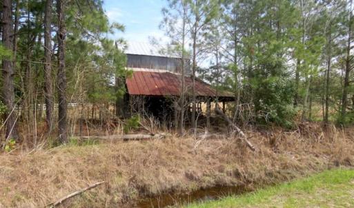 Photo of SOLD!!  42 Acres of Farm and Hunting Land For Sale in Columbus County NC!