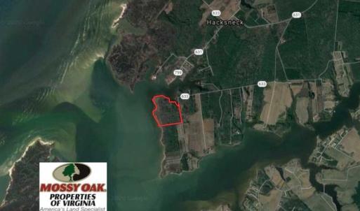Photo of SOLD!!  41 Acres of Waterfront Property For Sale in Accomack County VA!