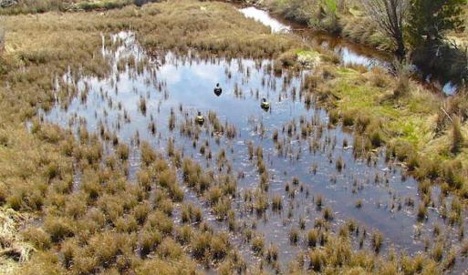 Photo of SOLD!!  41 Acres of Waterfront Property For Sale in Accomack County VA!