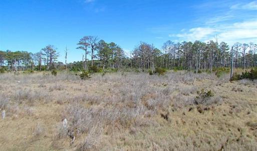 Photo of SOLD!!  41 Acres of Waterfront Property For Sale in Accomack County VA!