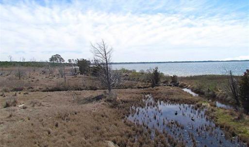 Photo of SOLD!!  41 Acres of Waterfront Property For Sale in Accomack County VA!