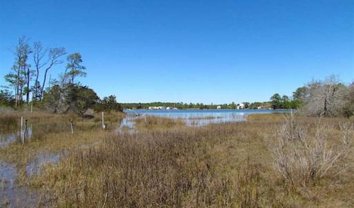 Photo of SOLD!!  41 Acres of Waterfront Property For Sale in Accomack County VA!