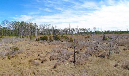 Photo of SOLD!!  41 Acres of Waterfront Property For Sale in Accomack County VA!