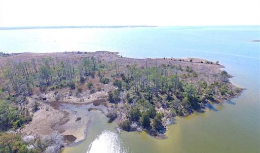 Photo of SOLD!!  41 Acres of Waterfront Property For Sale in Accomack County VA!