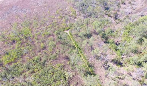 Photo of SOLD!!  41 Acres of Waterfront Property For Sale in Accomack County VA!