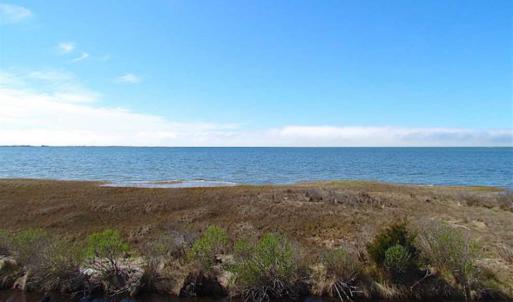 Photo of SOLD!!  41 Acres of Waterfront Property For Sale in Accomack County VA!