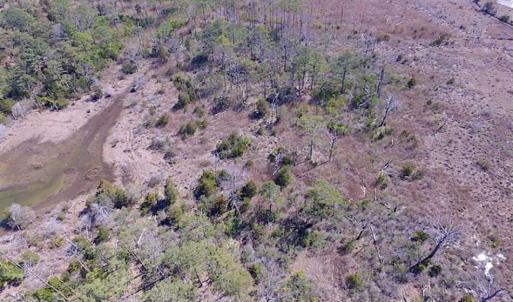 Photo of SOLD!!  41 Acres of Waterfront Property For Sale in Accomack County VA!