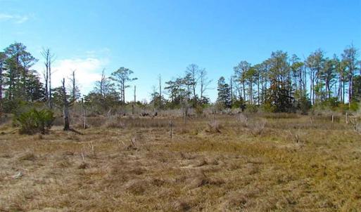 Photo of SOLD!!  41 Acres of Waterfront Property For Sale in Accomack County VA!