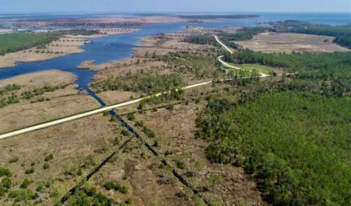 Photo of 16.64 Acres of Hunting Land for Sale in Pamlico County NC!