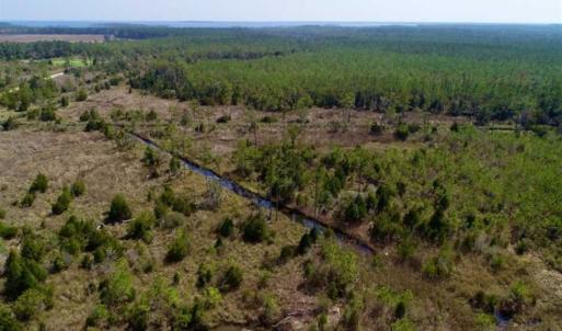 Photo of 16.64 Acres of Hunting Land for Sale in Pamlico County NC!