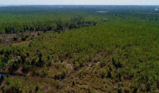 Photo of 16.64 Acres of Hunting Land for Sale in Pamlico County NC!