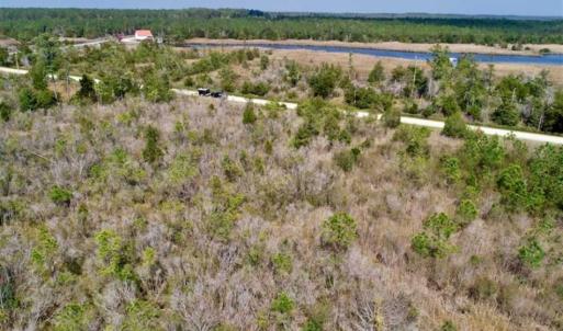 Photo of 16.64 Acres of Hunting Land for Sale in Pamlico County NC!
