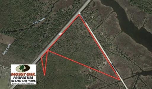 Photo of 16.64 Acres of Hunting Land for Sale in Pamlico County NC!