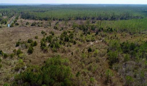 Photo of 16.64 Acres of Hunting Land for Sale in Pamlico County NC!