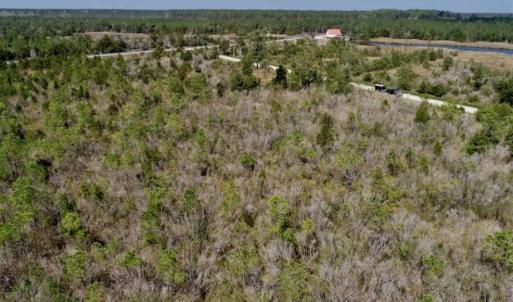Photo of 16.64 Acres of Hunting Land for Sale in Pamlico County NC!