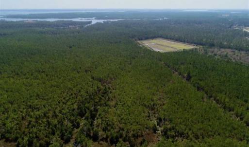 Photo of 16.64 Acres of Hunting Land for Sale in Pamlico County NC!