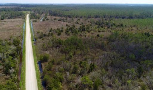 Photo of 16.64 Acres of Hunting Land for Sale in Pamlico County NC!