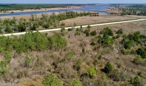 Photo of 16.64 Acres of Hunting Land for Sale in Pamlico County NC!