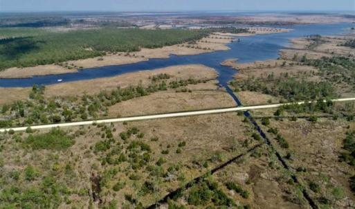 Photo of 16.64 Acres of Hunting Land for Sale in Pamlico County NC!