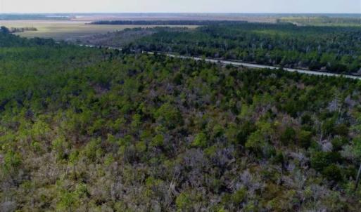 Photo of 16.64 Acres of Hunting Land for Sale in Pamlico County NC!