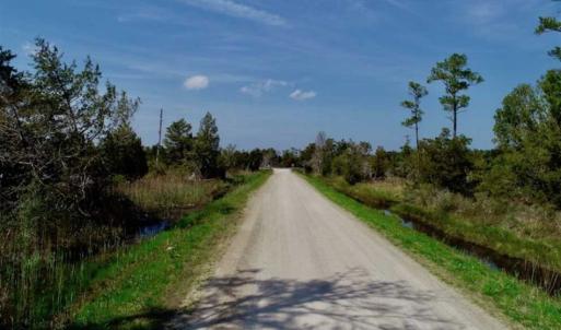 Photo of 16.64 Acres of Hunting Land for Sale in Pamlico County NC!