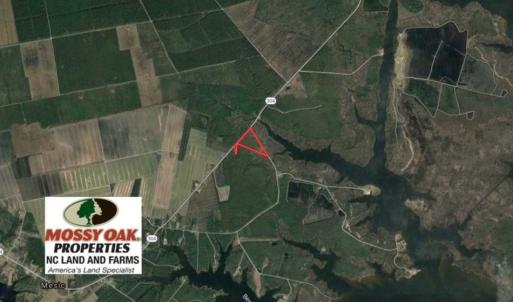 Photo of 16.64 Acres of Hunting Land for Sale in Pamlico County NC!