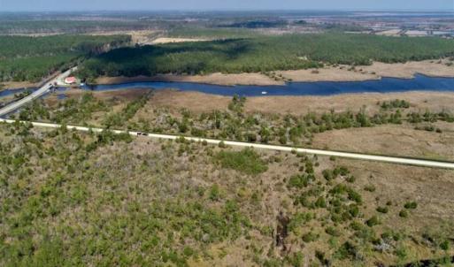 Photo of 16.64 Acres of Hunting Land for Sale in Pamlico County NC!