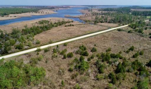 Photo of 16.64 Acres of Hunting Land for Sale in Pamlico County NC!