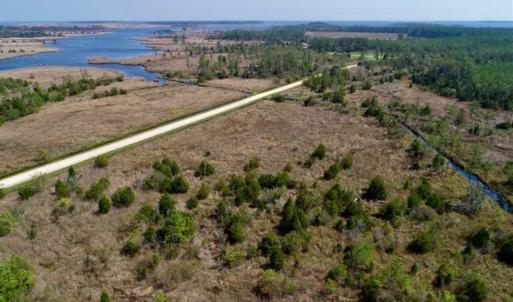 Photo of 16.64 Acres of Hunting Land for Sale in Pamlico County NC!