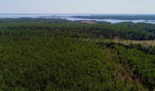 Photo of SOLD!!  26.94  Acres of Hunting Land for Sale in Pamlico County NC!