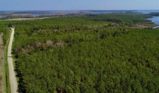 Photo of SOLD!!  26.94  Acres of Hunting Land for Sale in Pamlico County NC!