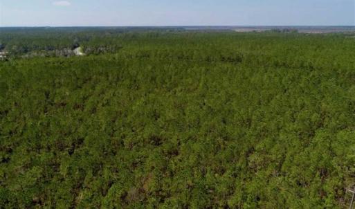 Photo of SOLD!!  26.94  Acres of Hunting Land for Sale in Pamlico County NC!