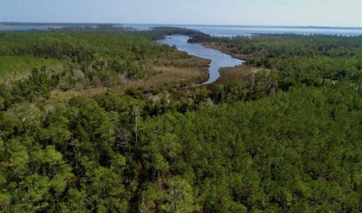 Photo of SOLD!!  26.94  Acres of Hunting Land for Sale in Pamlico County NC!