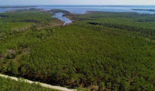 Photo of SOLD!!  26.94  Acres of Hunting Land for Sale in Pamlico County NC!