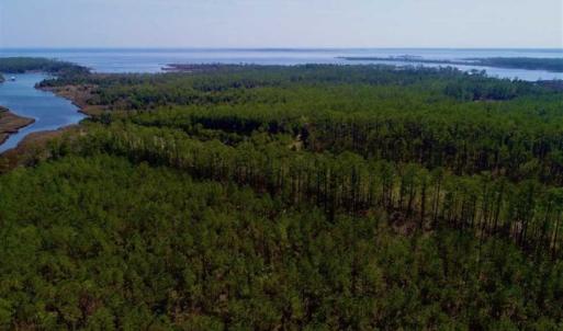 Photo of SOLD!!  26.94  Acres of Hunting Land for Sale in Pamlico County NC!
