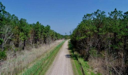 Photo of SOLD!!  26.94  Acres of Hunting Land for Sale in Pamlico County NC!