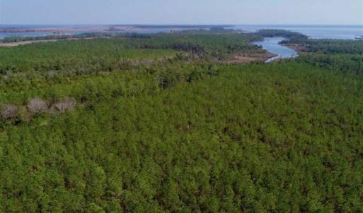 Photo of SOLD!!  26.94  Acres of Hunting Land for Sale in Pamlico County NC!
