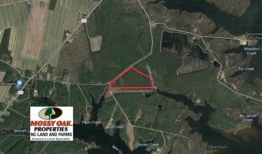 Photo of SOLD!!  26.94  Acres of Hunting Land for Sale in Pamlico County NC!