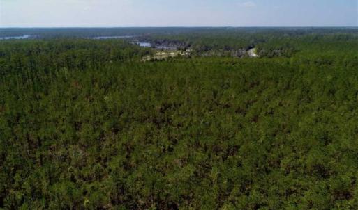 Photo of SOLD!!  26.94  Acres of Hunting Land for Sale in Pamlico County NC!