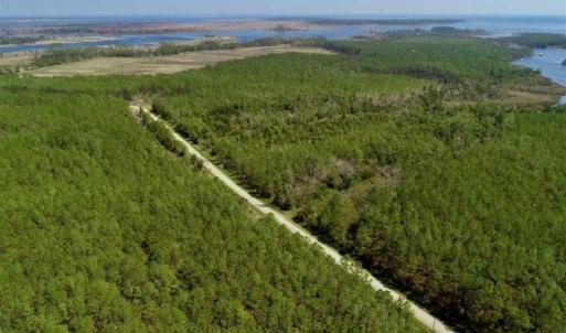 Photo of SOLD!!  26.94  Acres of Hunting Land for Sale in Pamlico County NC!