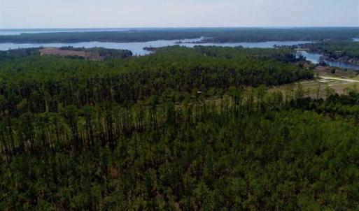 Photo of SOLD!!  26.94  Acres of Hunting Land for Sale in Pamlico County NC!