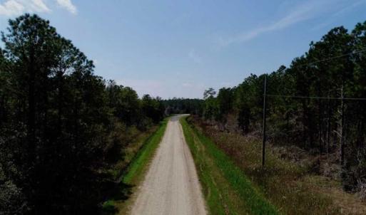 Photo of SOLD!!  26.94  Acres of Hunting Land for Sale in Pamlico County NC!