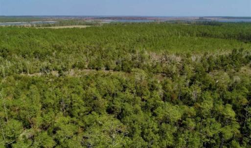 Photo of SOLD!!  26.94  Acres of Hunting Land for Sale in Pamlico County NC!