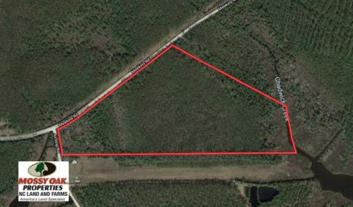 Photo of SOLD!!  26.94  Acres of Hunting Land for Sale in Pamlico County NC!