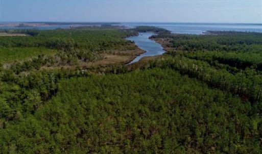 Photo of SOLD!!  26.94  Acres of Hunting Land for Sale in Pamlico County NC!