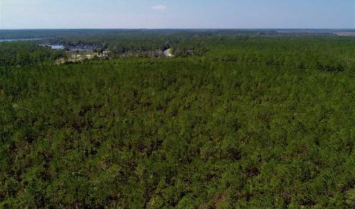 Photo of SOLD!!  26.94  Acres of Hunting Land for Sale in Pamlico County NC!