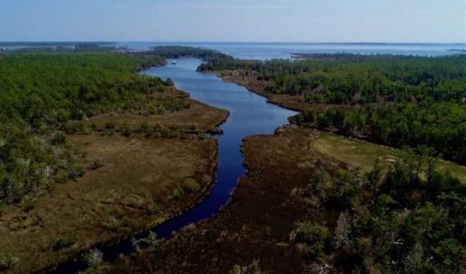 Photo of SOLD!!  26.94  Acres of Hunting Land for Sale in Pamlico County NC!
