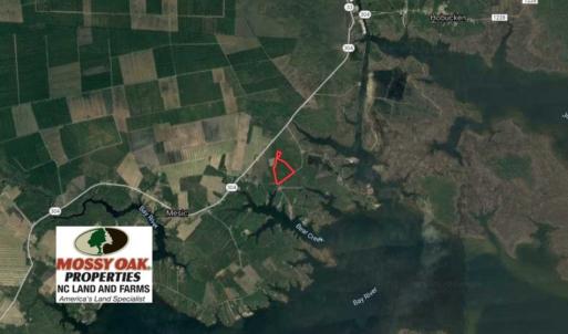 Photo of SOLD!!  50.29  Acres of Hunting Land for Sale in Pamlico County NC!