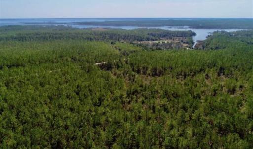 Photo of SOLD!!  50.29  Acres of Hunting Land for Sale in Pamlico County NC!